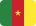 Drapeau Cameroun